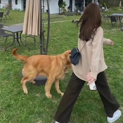 一万公里的爱情