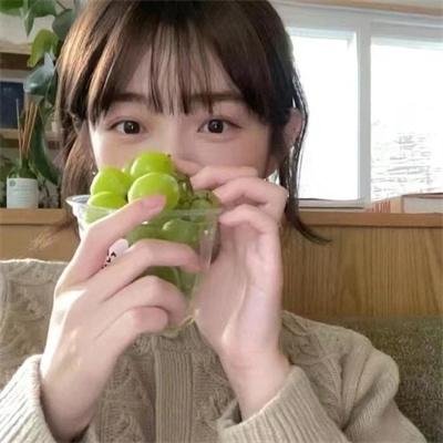 惹不起的殿下大人